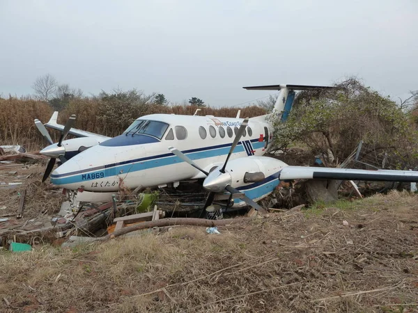 Japonya tsunami etkileri
