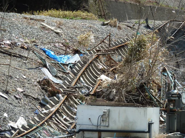 Japonya tsunami etkileri