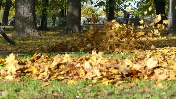 Mujer con soplador de hojas en Kiev — Vídeo de stock