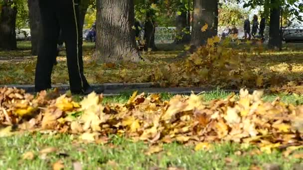 Жінка з лист вентилятор в Києві — стокове відео