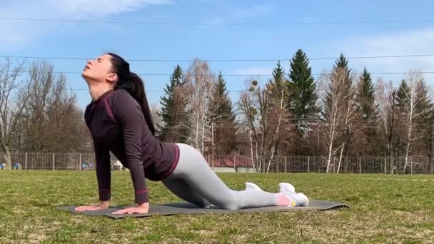 Mujer Entrenamiento Deportivo Hacer Estiramiento Por Mañana Mujer Deportiva Haciendo — Vídeos de Stock