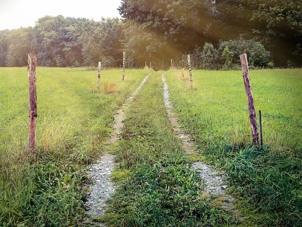 Çayır aydınlık ışınları ile aracılığıyla uğrak