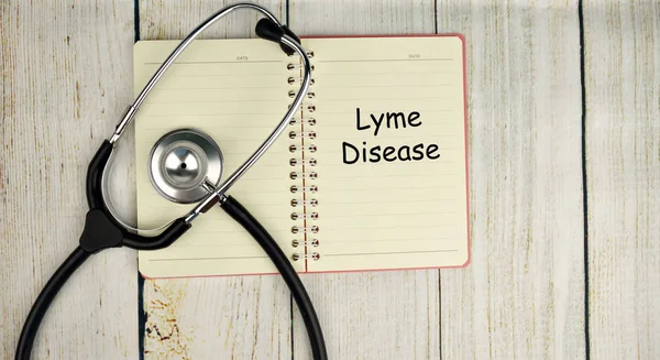 Sağlık ve tıp kavramı - Lyme hastalığı Stok Fotoğraf