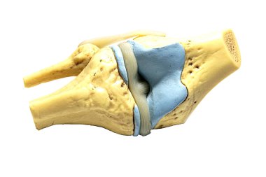 Beyaz arka plan üzerinde Injection Aracı