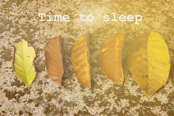 「睡眠時間」を書くと石で作られた葉を乾燥-概念をイメージ — ストック写真