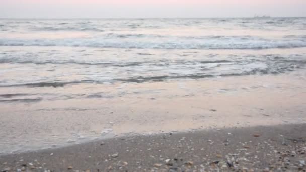 Womans nogi spaceru na plaży boso na zachód słońca — Wideo stockowe