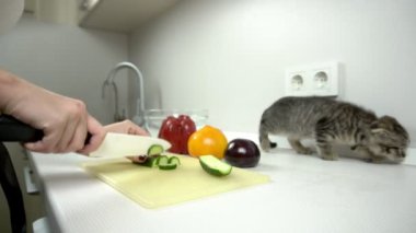 Pişirme - beyaz mutfak salatalık salatası kesme