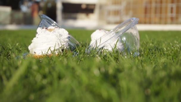 Doux gâteaux blancs sur l'herbe dans le parc — Video