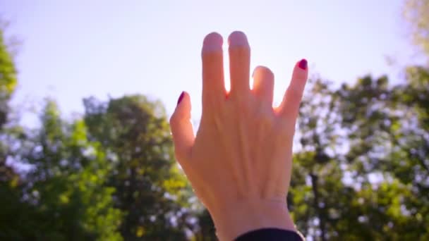 Womans hand in the sunlight — Stock Video