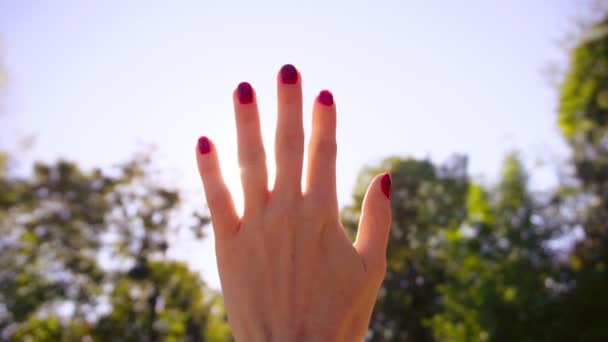 Mujeres de la mano en la luz del sol — Vídeo de stock