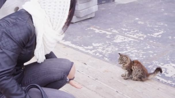 Morena mujer juega con gatito fuera — Vídeo de stock