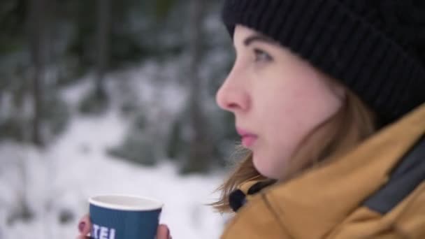 黒へま帽子の若い女性が紙コップからホットド リンクを飲んで雪の木の近く歩く — ストック動画