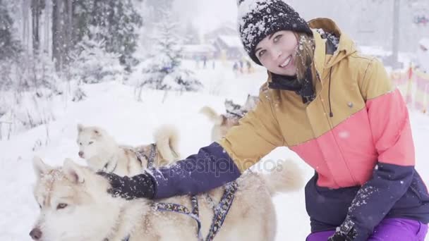 美丽的女孩，抱着那只狗。那个，西伯利亚哈士奇犬的女孩 — 图库视频影像