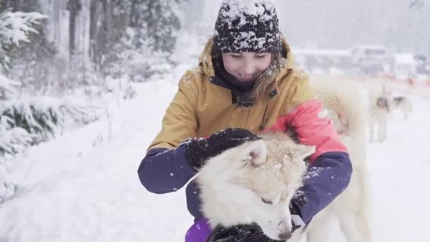 Hermosa chica abrazando al perro. La chica con el husky siberiano — Vídeo de stock
