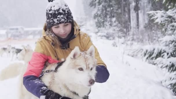 Hermosa chica abrazando al perro. La chica con el husky siberiano — Vídeos de Stock