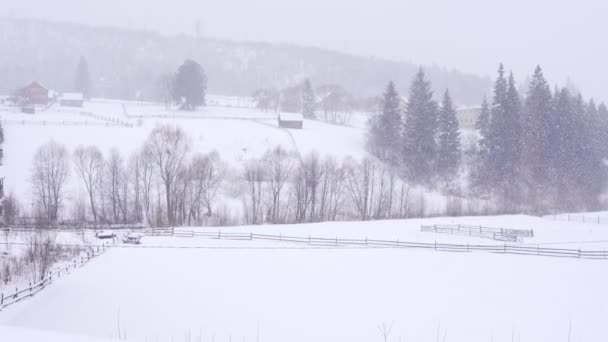 Casas e árvores na colina no inverno — Vídeo de Stock