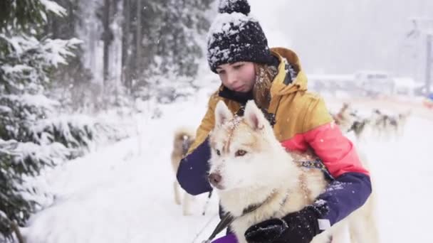 Mooi meisje knuffelen de hond. Het meisje met de Siberische husky — Stockvideo