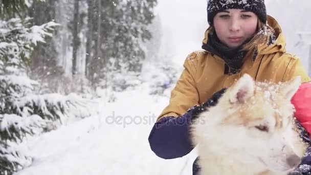 Hermosa chica abrazando al perro. La chica con el husky siberiano — Vídeo de stock