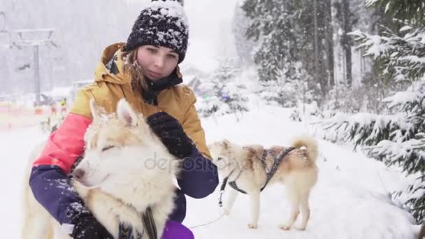 Hermosa chica abrazando al perro. La chica con el husky siberiano — Vídeo de stock