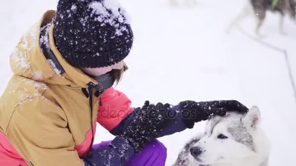 Hermosa chica abrazando al perro. La chica con el husky siberiano — Vídeos de Stock