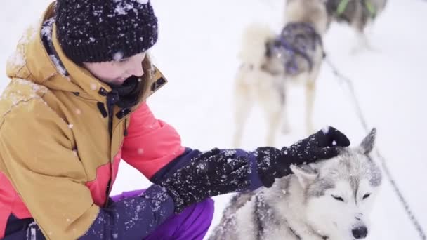 Hermosa chica abrazando al perro. La chica con el husky siberiano — Vídeos de Stock
