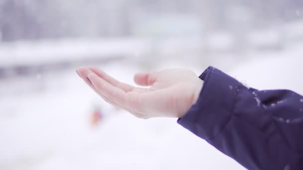 La mano de las mujeres es la captura de copos de nieve — Vídeo de stock