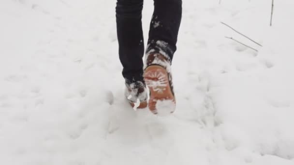 Ноги в зимних сапогах делают проход через толстый снег. Закройте глаза на обувь. Прогулки по снегу, походы зимой . — стоковое видео