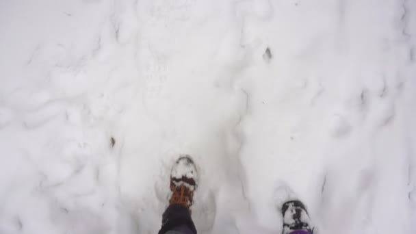 Ben Man och kvinna i vinterstövlar promenader i snön bredvid varandra. — Stockvideo