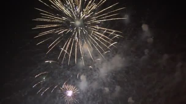 Tűzijáték az éjszakai égen — Stock videók