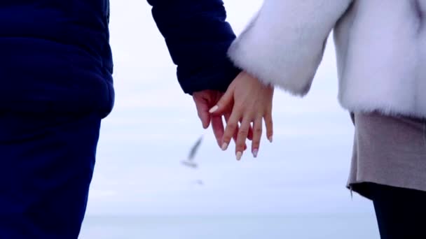 Jeune couple tenant la main à la plage. La mer et le ciel en arrière-plan — Video