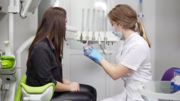 O médico está de mãos dadas com um modelo dentário fechado. O dentista mostra uma maquete de mandíbula. O modelo da mandíbula. Os ossos da mandíbula. Atributos e detalhes no escritório de um dentista . — Vídeo de Stock