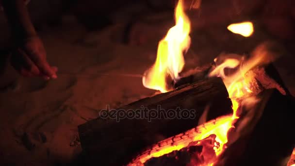 Junge, gut gelaunte Freunde, die abends am Feuer am Strand sitzen und gemeinsam Marshmallow auf Stöcken kochen. Schuss in 4k — Stockvideo