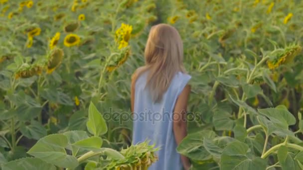 Ung attraktiv blond kvinna promenader i ett fält av solrosor, vrida runt och tittar i kameran. Slowmotion skott — Stockvideo