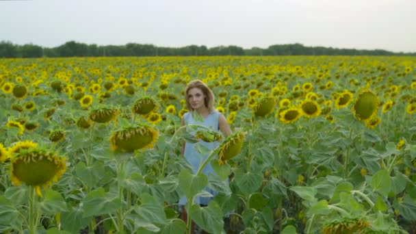 Portréja egy fiatal nő, egy kék ruhát, séta a napraforgó mező, élvezve a természet. Slowmotion lövés — Stock videók