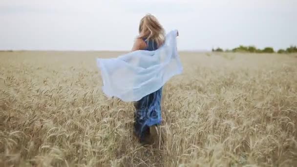 Vista posteriore di attraente giovane donna in un lungo vestito blu che attraversa il campo di grano dorato con uno scialle in mano. Lo scialle ondeggia nel vento. Il concetto di libertà. Colpo di rallentamento — Video Stock