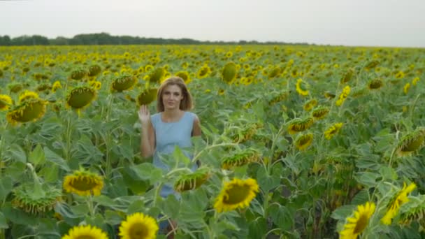 Портрет молодої жінки в блакитній сукні, що ходить на соняшниковому полі, насолоджуючись природою. Постріл уповільнення — стокове відео