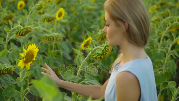 Portréja egy fiatal nő, egy kék ruhát állandó unflower mezőben, élvezve a természet. Slowmotion lövés — Stock videók