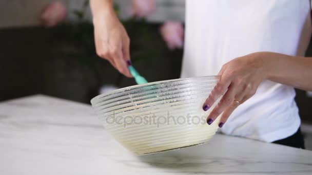 Vista de cerca de las manos de las mujeres mezclando los ingredientes para preparar la masa en el tazón usando batidor. Cocina casera. Disparo en cámara lenta — Vídeos de Stock