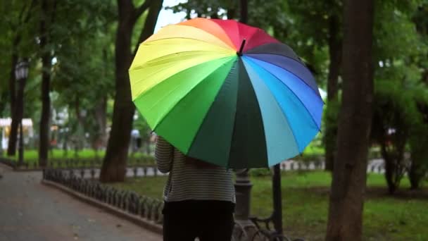 Обратный вид на неузнаваемую женщину, идущую с красочным зонтиком в дождливый день в городском парке — стоковое видео