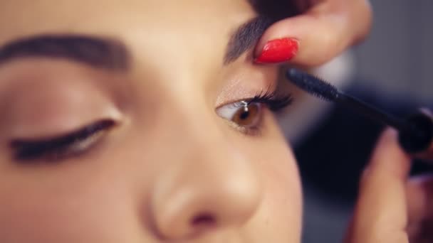 Vista de primer plano de artista de maquillaje profesional aplicando rímel en las pestañas modelos. Trabajo en la industria de la moda de belleza. Maquillaje profesional entre bastidores — Vídeos de Stock