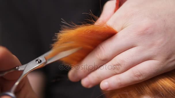 Αρσενικό χέρια κρατώντας ένα σκέλος της τρίχας και το κόψιμο με ψαλίδι και χτένα. Προβολή closeup κοκκινομάλλα γυναικεία μαλλιά που κόβονται από έναν επαγγελματία κομμωτή στο σαλόνι ομορφιάς. Slowmotion βολή — Αρχείο Βίντεο