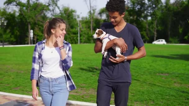 Linda pareja multiétnica caminando juntos en el parque disfrutando del día. Africano chico está sosteniendo lindo gato russell terrier y sonriendo. Feliz verano. — Vídeos de Stock