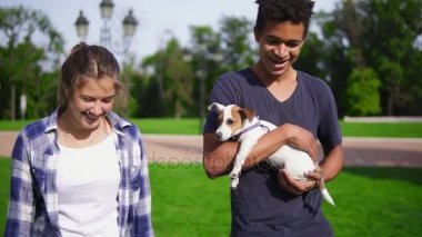 İki çok ırklı arkadaş summerday zevk Park'ta yürüyordunuz. Genç çekici Afrika adam şirin küçük jack russell terrier ve gülümseyen tutuyor. Mutlu yaz saati