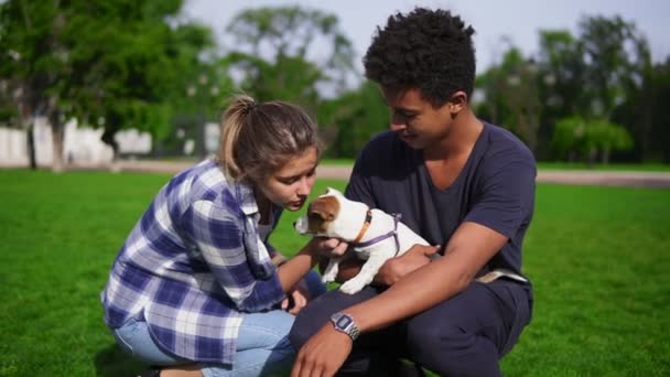 Atractiva pareja multiétnica sentada en la hierba verde en el parque disfrutando del día mientras sostiene al lindo gato russell terrier y sonríe. Feliz verano. — Vídeos de Stock