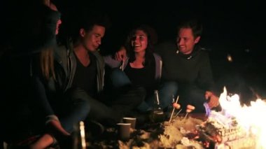 Yan görünümü farklı grup birlikte gece geç saatlerde ateşin yanında oturan ve birbirini kucaklayan insan sosis pişirme ve bira içmek. Söz ve birlikte eğlenmek neşeli arkadaşları