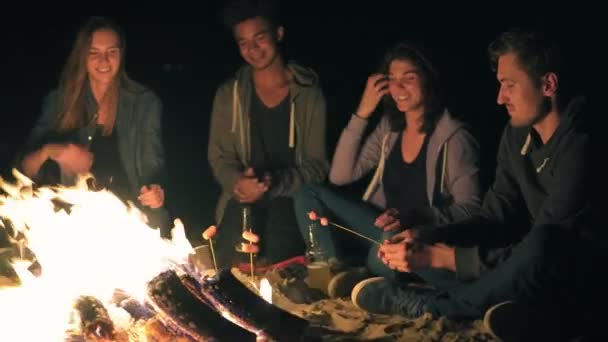 Группа молодых друзей, сидящих у костра поздно ночью, жарящих сосиски и пьющих пиво, разговаривающих и веселящихся — стоковое видео