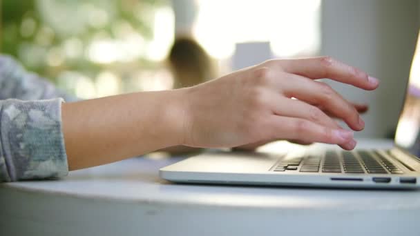 Vista de perto de mãos femininas que trabalham no computador portátil. A mulher está sentada perto da janela no café e a escrever. Copo branco com café na mesa — Vídeo de Stock