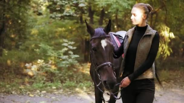 Preparação para o treinamento: brincadeira feminina atraente está acariciando um cavalo marrom deslumbrante com mancha branca na testa enquanto caminham juntos na floresta durante o dia ensolarado no outono — Vídeo de Stock