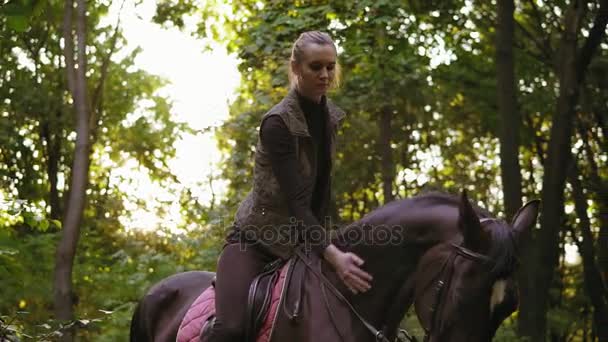 Fiatal lány park gyönyörű barna ló lovaglás közben süt a nap. Gyönyörű női versenyző ül a mén nyereg — Stock videók