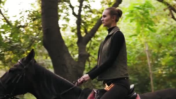 骑马在夏天森林里。年轻的女骑手骑马在阴凉的森林里驰骋。诱惑驰骋。在晴朗的日子骑马 — 图库视频影像
